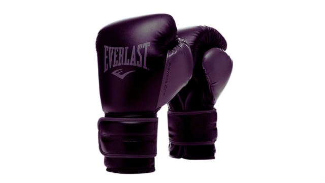 best-boxing-gloves