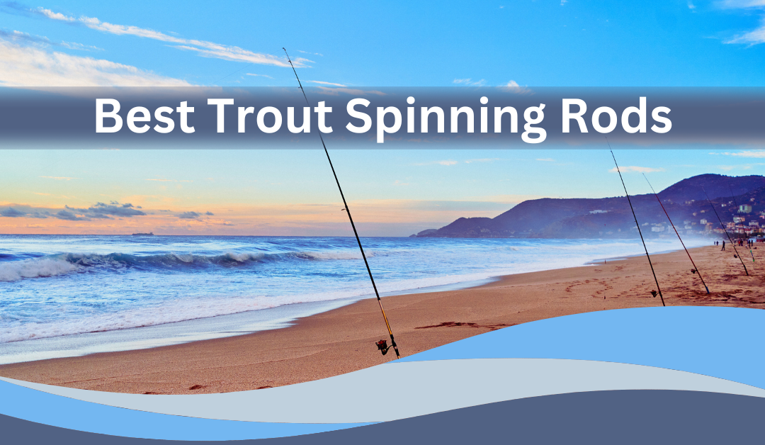 Trout Spinning Rods