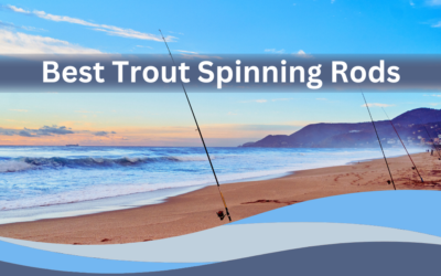 Trout Spinning Rods