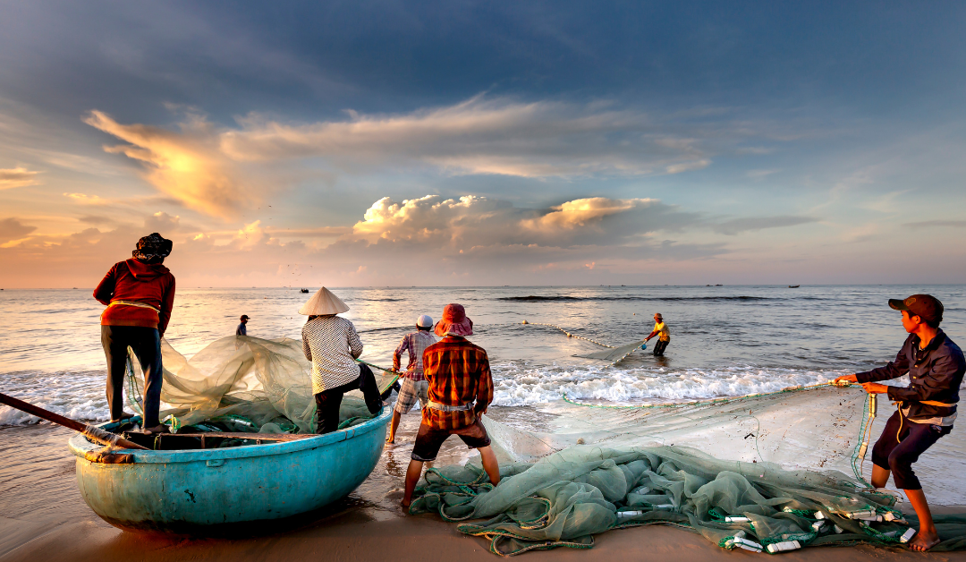 fishing-net