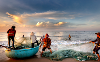 Fishing Net