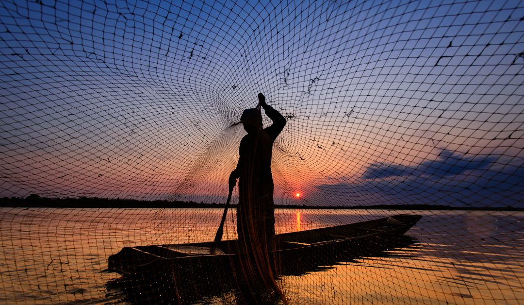 fishing-net-telescoping-handle