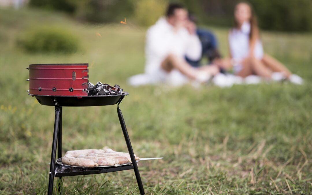 portable-gas-grill-for- camping