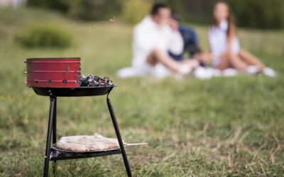 Portable Gas Grill For Camping