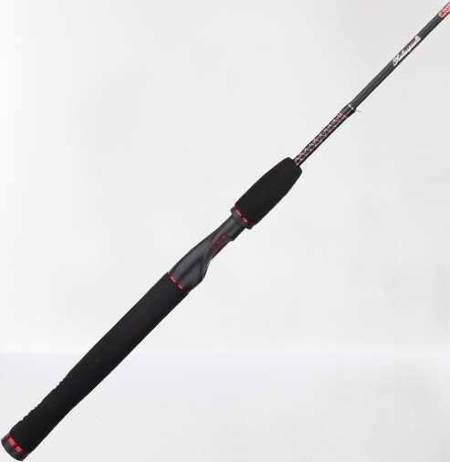 best-spinning-rod-for-bass