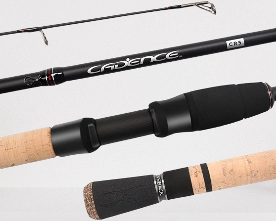 best-spinning-rod-for-bass